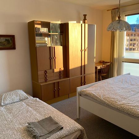 Apartman Pod Studenou Horou Рокицани Экстерьер фото