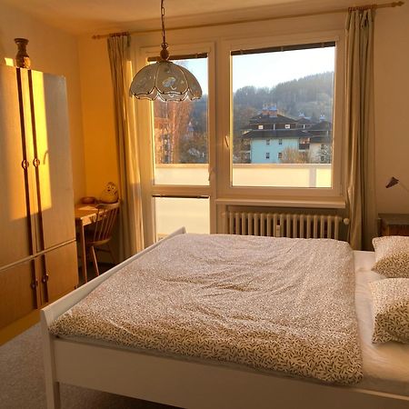 Apartman Pod Studenou Horou Рокицани Экстерьер фото